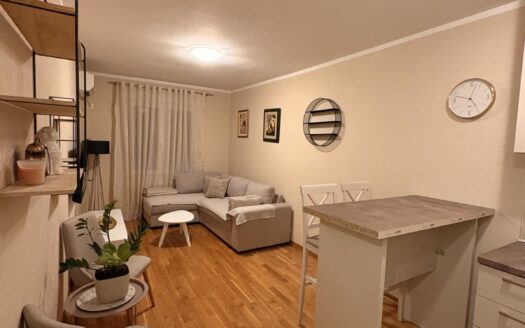 One bedroom apartment for rent, Zabjelo, Podgorica