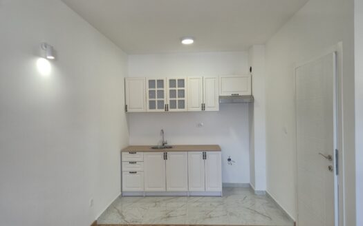 One bedroom apartment for rent, Zagorič, Podgorica