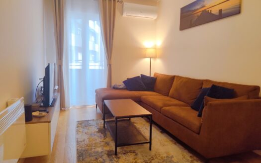 One bedroom apartment for sale, Central Point, Podgorica