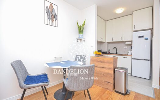 One bedroom apartment for sale, Central Point, Podgorica