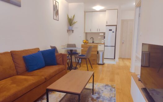 One bedroom apartment for sale, Central Point, Podgorica