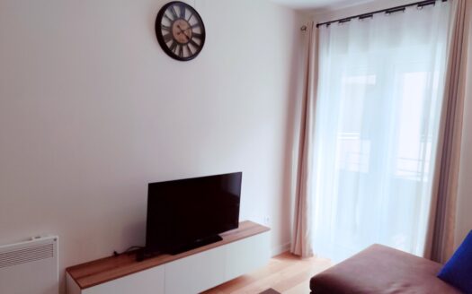 One bedroom apartment for sale, Central Point, Podgorica