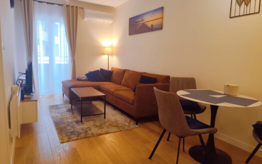 One bedroom apartment for sale, Central Point, Podgorica