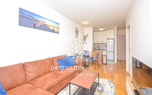 One bedroom apartment for sale, Central Point, Podgorica