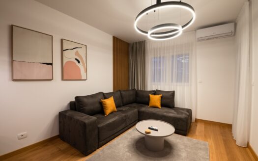 One bedroom apartment for sale, New City, Podgorica