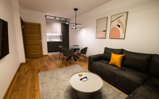 One bedroom apartment for sale, New City, Podgorica