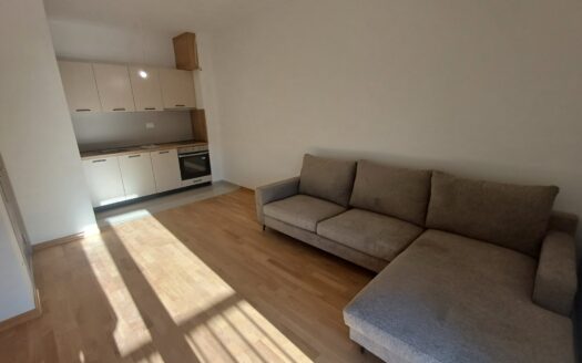 One bedroom apartment for sale, Zabjelo, Podgorica