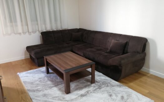 One bedroom apartment for rent, Central Point, Podgorica
