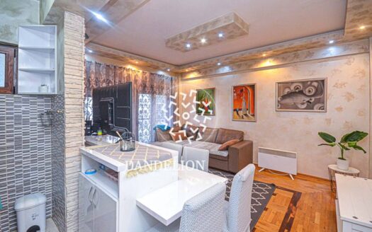 Two bedroom apartment for rent, Blok 9, Podgorica