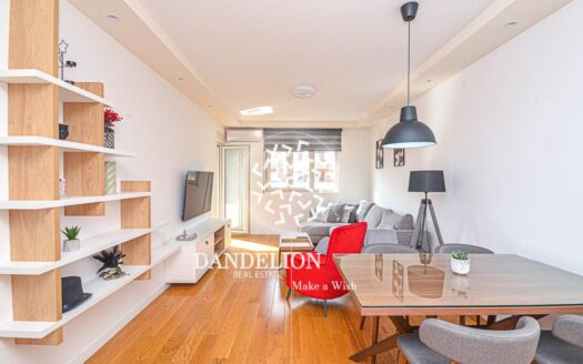 Sunny Horizon for rent, Central Point, Podgorica