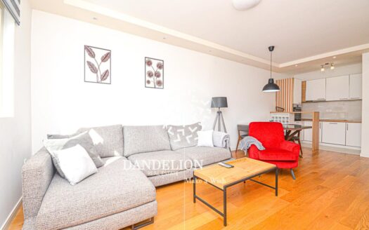 Sunny Horizon for rent, Central Point, Podgorica