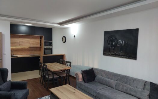 Two bedroom apartment for rent, Master kvart, Podgorica
