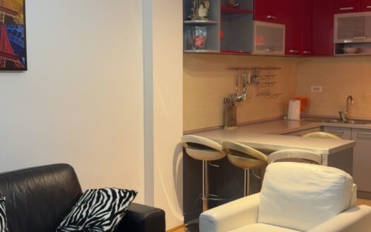 One bedroom apartment for rent, Preko Morače, Podgorica