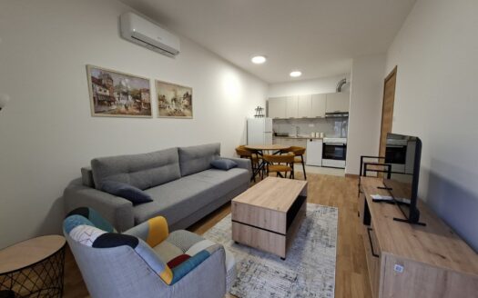 One bedroom apartment for rent, Tološi, Podgorica
