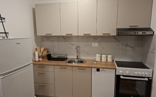 One bedroom apartment for rent, Tološi, Podgorica