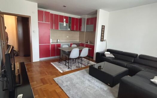 One bedroom apartment for rent, Tuški put, Podgorica