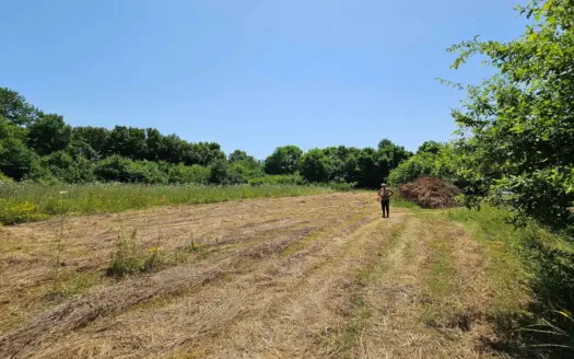 Land for sale, Kosić, Danilovgrad