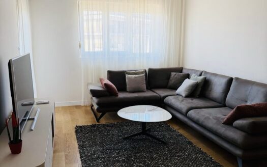 One bedroom apartment for rent, Central Point, Podgorica