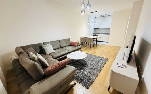 One bedroom apartment for rent, Central Point, Podgorica