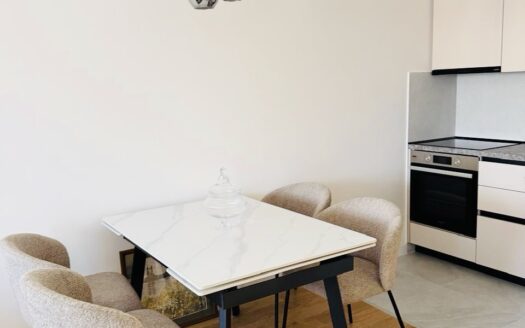 One bedroom apartment for rent, Central Point, Podgorica
