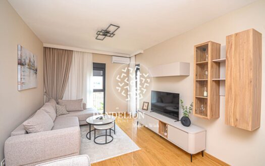 Jednosoban stan za izdavanje, City kvart, Podgorica