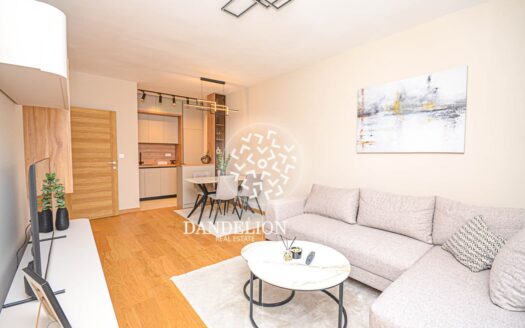 One bedroom apartment for rent, City kvart, Podgorica