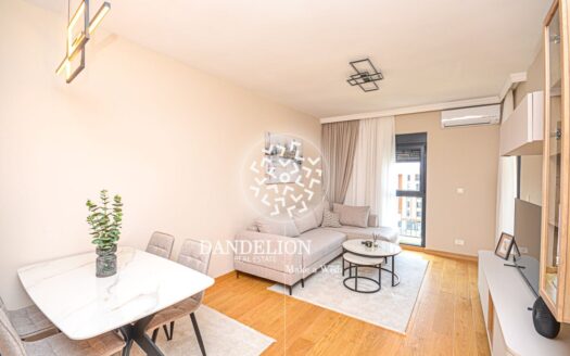 One bedroom apartment for rent, City kvart, Podgorica