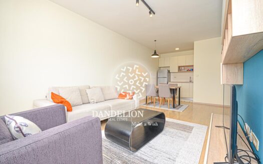 One bedroom apartment for rent, City kvart, Podgorica