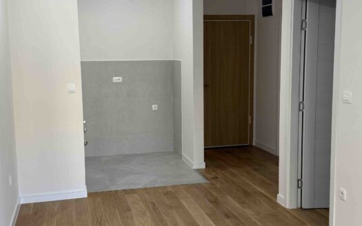 Jednosoban stan za izdavanje, Central Point, Podgorica