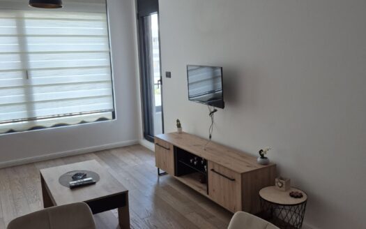 One bedroom apartment for rent, Donja Gorica, Podgorica
