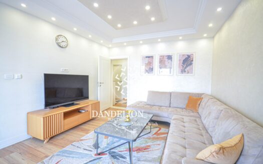 Golden Bear for rent, Centar, Podgorica