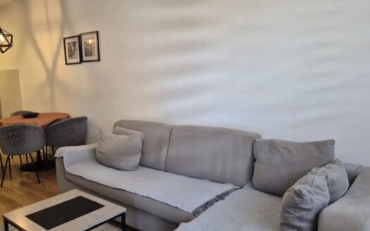 One bedroom apartment for rent, Central Point, Podgorica