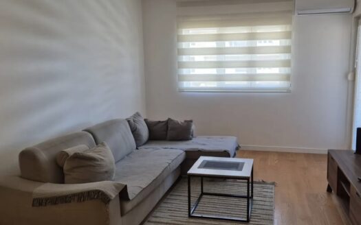 One bedroom apartment for rent, Central Point, Podgorica