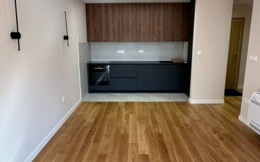 Two bedroom apartment for rent, Central Point, Podgorica