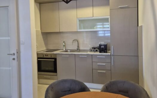 One bedroom apartment for rent, Central Point, Podgorica