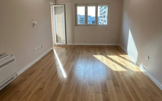 Two bedroom apartment for rent, Central Point, Podgorica