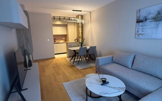 One bedroom apartment for rent, City kvart, Podgorica