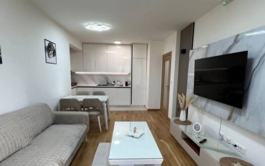 One bedroom apartment for rent, City kvart, Podgorica