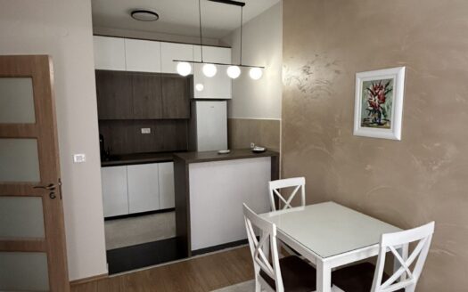 One bedroom apartment for rent, Ljubović, Podgorica