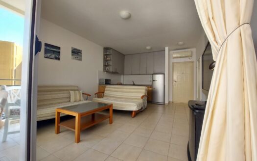 One bedroom apartment for rent, Petrovac