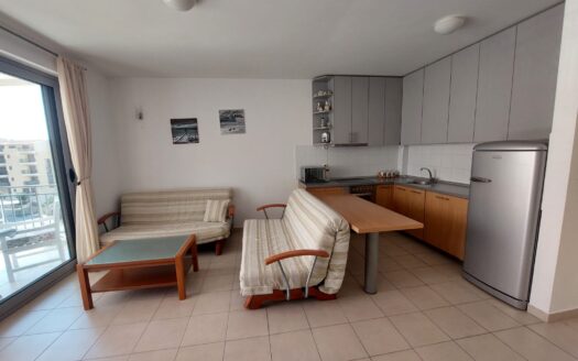 One bedroom apartment for rent, Petrovac