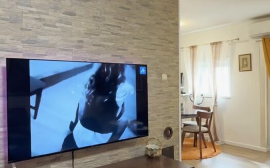 Three bedroom apartment for rent, Preko Morače, Podgorica