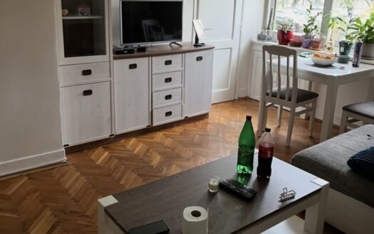 One bedroom apartment for rent, Preko Morače, Podgorica