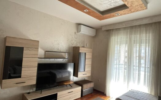 One bedroom apartment for rent, Stari Aerodrom, Podgorica