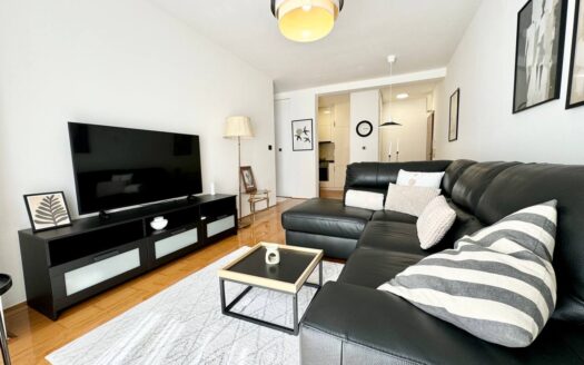 One bedroom apartment for rent, Vezirov most, Podgorica