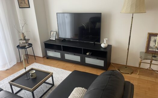 One bedroom apartment for rent, Vezirov most, Podgorica