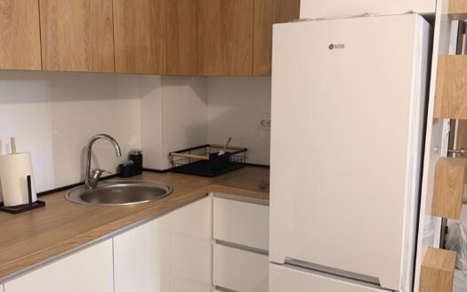 One bedroom apartment for rent, Zabjelo, Podgorica