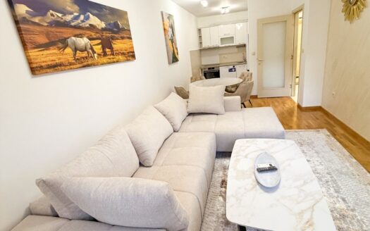 One bedroom apartment for rent, Zagorič, Podgorica