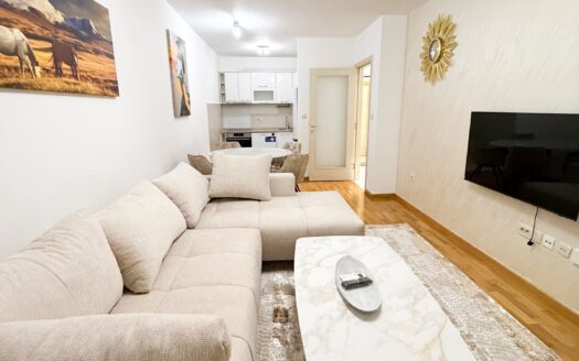 One bedroom apartment for rent, Zagorič, Podgorica