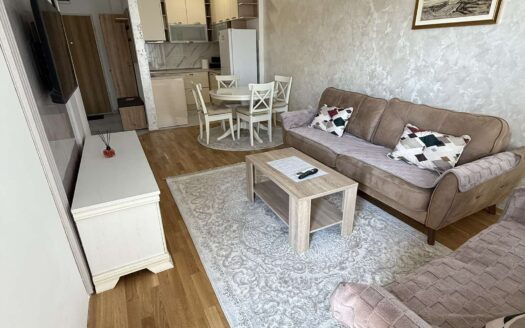 One bedroom apartment for rent, Zagorič, Podgorica